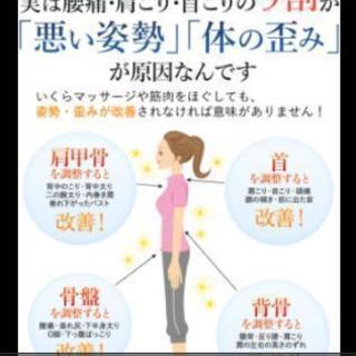 整体 カイロプラクティック、マッサージ、催眠療法、気功 等。