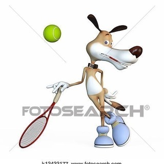 tennis友増やそう😆✨