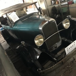 希少 シトロン！
