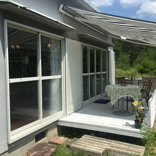 9月23日、猫がいるカフェで料理作り、バジルコーン作りしてみませんか。 − 京都府