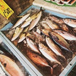 磯の会（海鮮パーティー） - 友達
