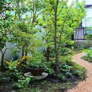🌱植木屋手伝い🌱　植木屋に興味がある・仕事を覚えたい方🌻　　