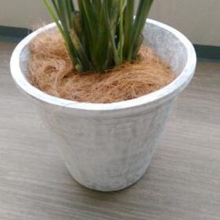 【再再値下げ】フェイク観葉植物の画像