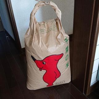 🌾令和３年度コシヒカリ🌾✨