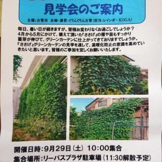 ささげグリーンカーテンの見学会参加者募集