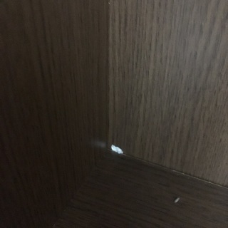 カラーボックスの画像