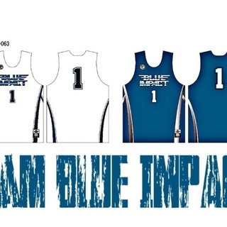team BLUE IMPACT