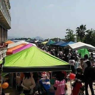 森のマルシェ出店募集