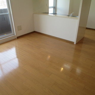 【スワンズ難波パークビュー】1号タイプ！1ＬＤＫタイプ！人気の分譲賃貸マンション☆ - 賃貸（マンション/一戸建て）