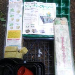 苗の育成セット  値下げします