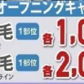 オープニングキャンペーン