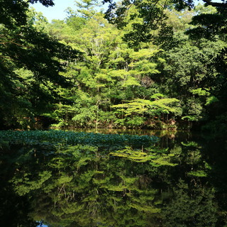 【カメラ旅部-Ein Foto-】カメラ片手に一緒に旅に出かけませんか？～メンバー募集中～ - 福岡市