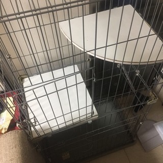 猫ゲージの画像