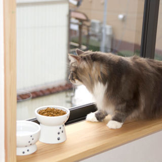 猫専用個室『ねこべや』ケージレスのペットホテル【送迎無料】｜名古屋市 - ペット