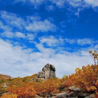 登山参加メンバー募集2023/7/30(日)この酷暑でも非常に涼...