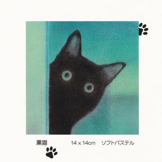 第３回　深沢天瑚　パステル画展