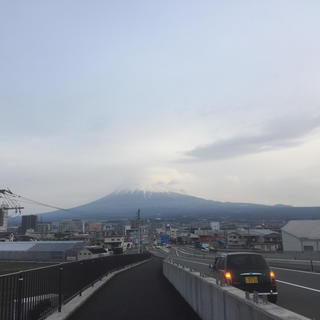 静岡釣り情報交換しませんか
