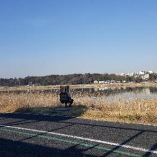 柏市内、その付近でダイエット！(実績あり)