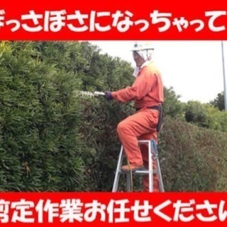 庭の草刈り 剪定作業  お任せください