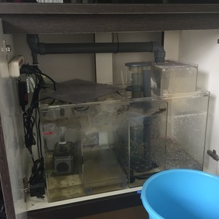 出張オーバーフロー水槽水抜き・解体・運び出しサービス(水槽撤去) - 便利屋