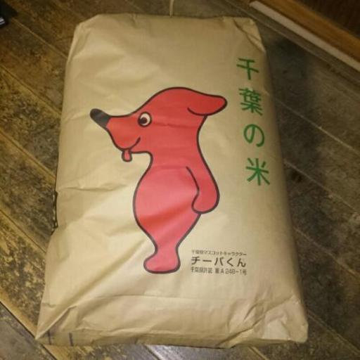 コシヒカリ30kg