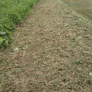 蜂の巣駆除、お庭、お墓の草刈機、剪定、刈り込みをさせていただきます。