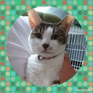 里親様決まりました