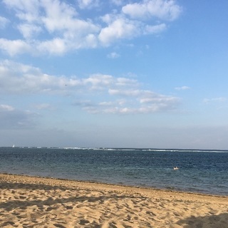 女子だけでサーフィン一緒にしませんか？🎶 - 世田谷区