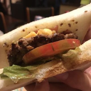 10月７日寝屋川の淀川河川公園でBBQ！参加者募集中！