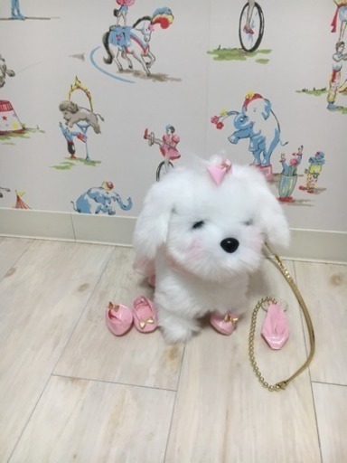 お散歩わんちゃん