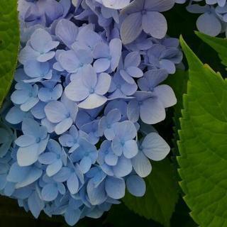 ☆日時未定☆カラオケ好きな方🎤🌸