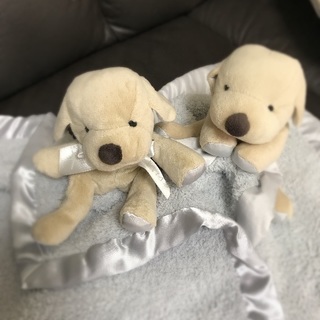 ベアフットドリームスのぬいぐるみ付きミニブランケットの画像