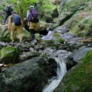 山歩きパーティ㏌宮路山（愛知県豊川市赤坂町）