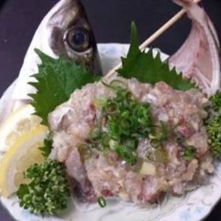 一緒に釣りしませんか😄