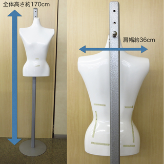 A●婦人 レディース トルソー マネキン 店舗使用品 現状渡し ...