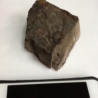 木化石売ります．重量 100g当たり 50円 (50円未満は切捨て)の手渡し限定品ですの画像