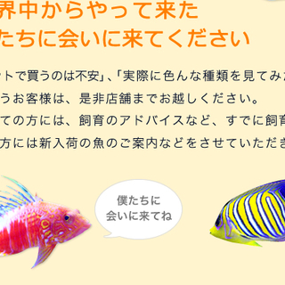 【大阪　堺】9/24(月) 熱帯魚 アクアリウム のための 大切な 水質講座 開催!!の画像
