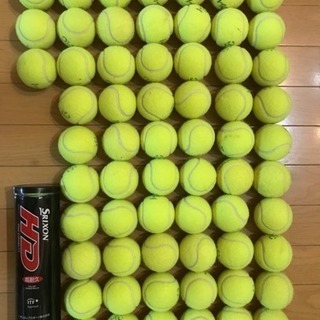 🎾本日9月15日 川内庭球場にてテニス 仙台市内