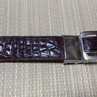 クロコダイルベルトの画像