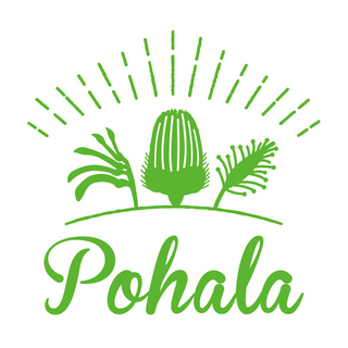 Ｐｏｈａｌａ　ワイルドフラワーエッセンス　大阪イベント２日間出展...