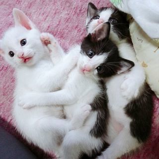 8月13日に生まれました！