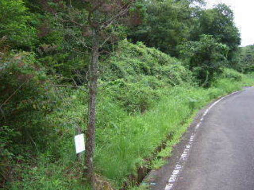 鹿児島県霧島市霧島田口【売地】温泉付108坪即建築可230万