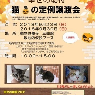 幸せの切符  猫 譲渡会