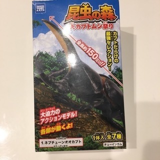 昆虫の森 大カブトムシ祭り 売っているお店探してます！