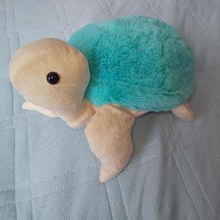 亀のぬいぐるみ🐢