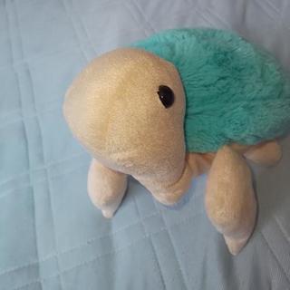 亀のぬいぐるみ🐢の画像