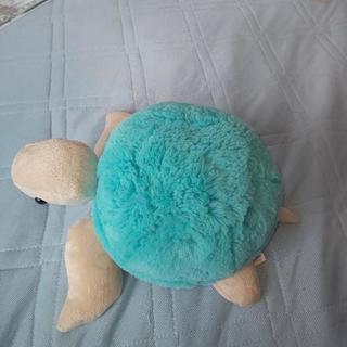 亀のぬいぐるみ🐢の画像