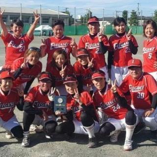 女子ソフトボール　メンバー募集