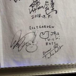 2019年行くぞ！フジロック★｀・ω・)ノ♪ELLEGARDEN仲間募集お気軽に！ - メンバー募集