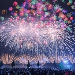 カメラサークルのメンバー募集♡写真好きさん是非♡